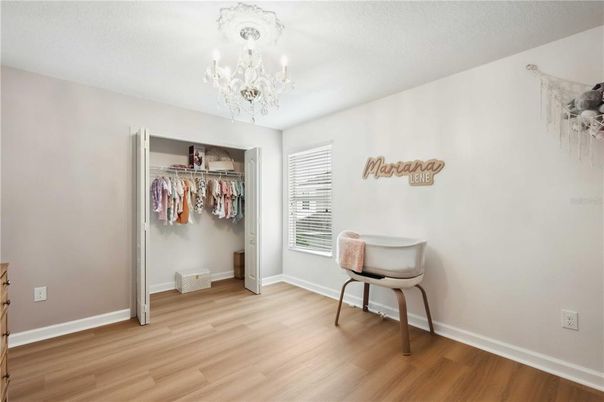 Chandelier, Interior, Wood Texture Flooring