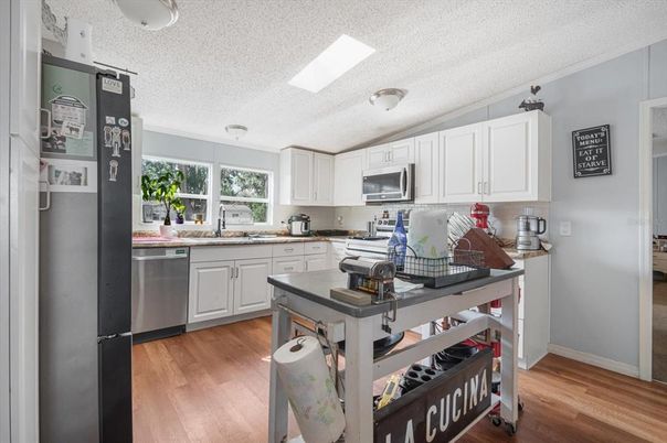 Interior, Kitchen, Stainless Steel Appliances, Wood Texture Flooring