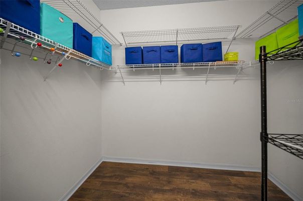 Interior, Walk-in Closets, Wood Texture Flooring