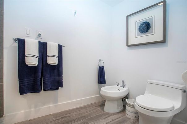Bathroom, Interior, Wood Texture Flooring