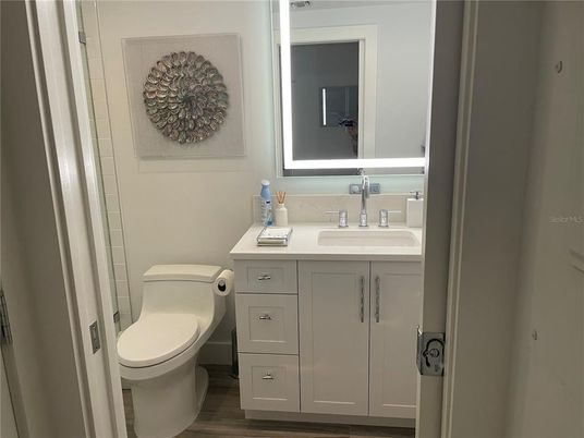 Bathroom, Interior, Wood Texture Flooring