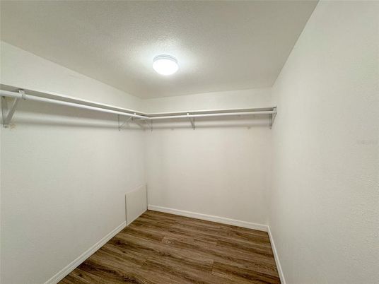Interior, Walk-in Closets, Wood Texture Flooring