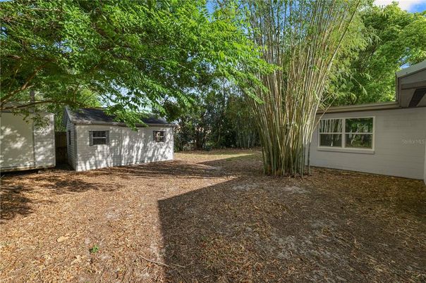 Backyard, Exterior