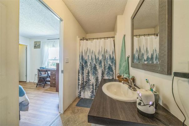 Bathroom, Interior, Wood Texture Flooring