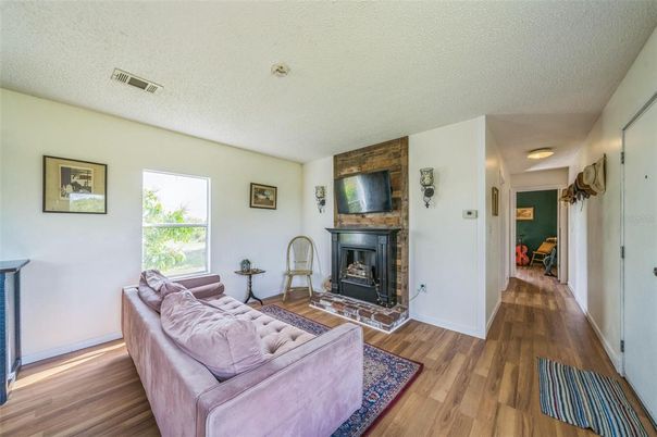 Fireplace, Interior, Wood Texture Flooring