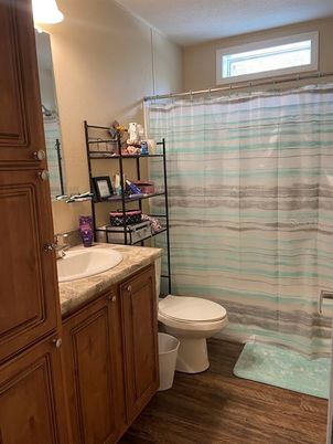 Bathroom, Interior, Wood Texture Flooring