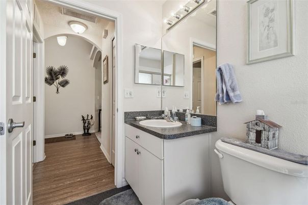 Bathroom, Interior, Wood Texture Flooring