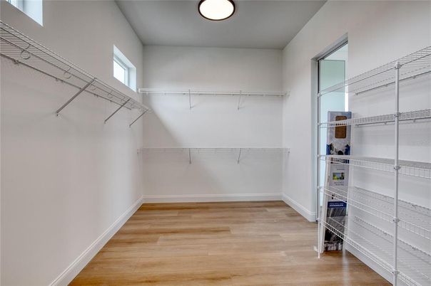 Interior, Walk-in Closets, Wood Texture Flooring
