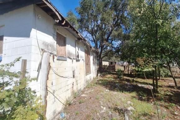 Backyard, Exterior
