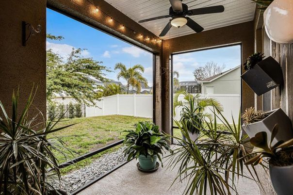 Backyard, Interior