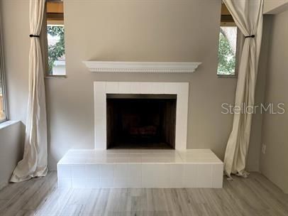 Fireplace, Interior, Wood Texture Flooring