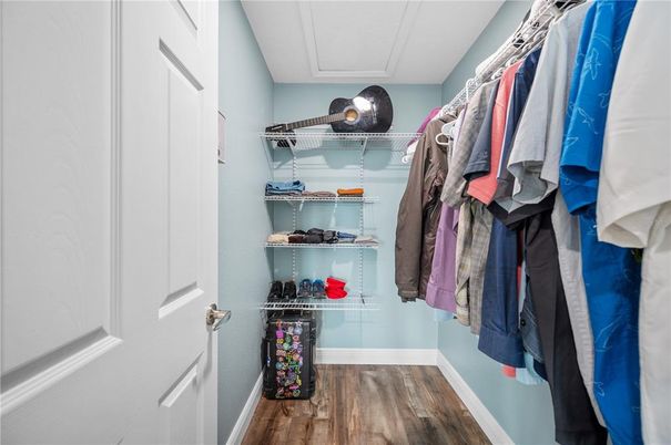 Interior, Walk-in Closets, Wood Texture Flooring