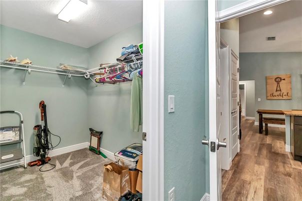 Interior, Walk-in Closets, Wood Texture Flooring