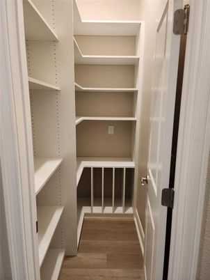 Interior, Walk-in Closets, Wood Texture Flooring