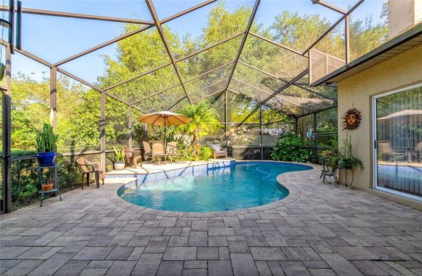 Glass Ceilings, Interior, Pool, Sun Room