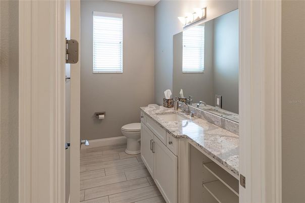 Bathroom, Dual Sink Vanities, Interior, Wood Texture Flooring