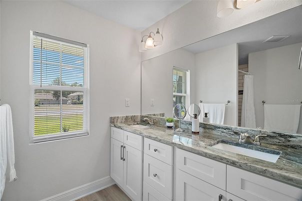 Bathroom, Dual Sink Vanities, Interior, Wood Texture Flooring