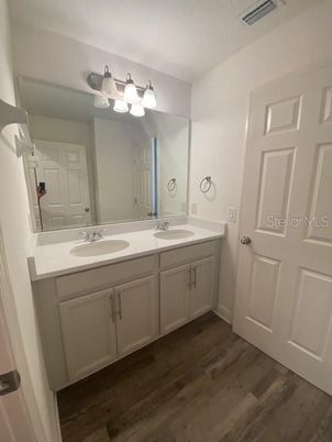 Bathroom, Dual Sink Vanities, Interior, Wood Texture Flooring