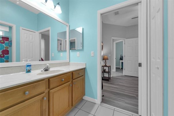 Bathroom, Dual Sink Vanities, Interior, Wood Texture Flooring