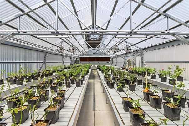 Glass Ceilings, Interior, Sun Room