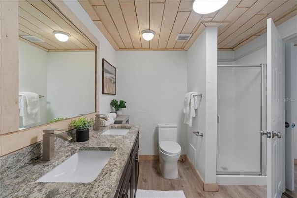 Bathroom, Interior, Wooden Ceilings, Wood Texture Flooring