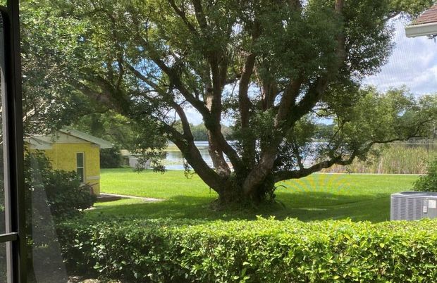 Backyard, Exterior, Water