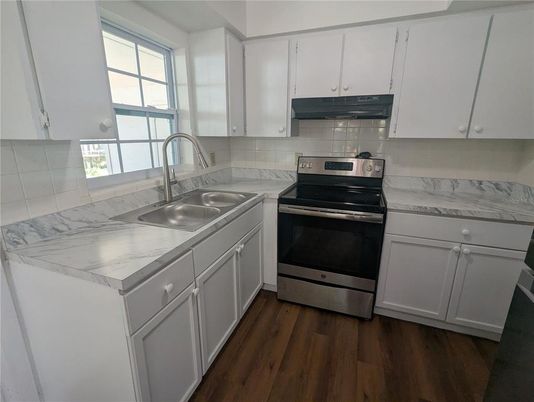 Interior, Kitchen, Stainless Steel Appliances, Wood Texture Flooring