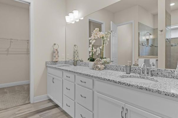 Bathroom, Dual Sink Vanities, Interior, Wood Texture Flooring