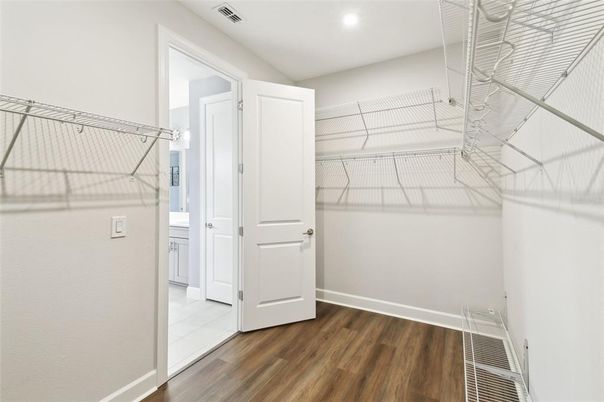 Interior, Recessed Lighting, Walk-in Closets, Wood Texture Flooring