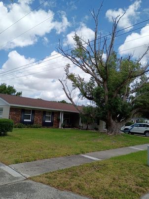 Backyard, Exterior, Facade, Brick Facade, Ranch