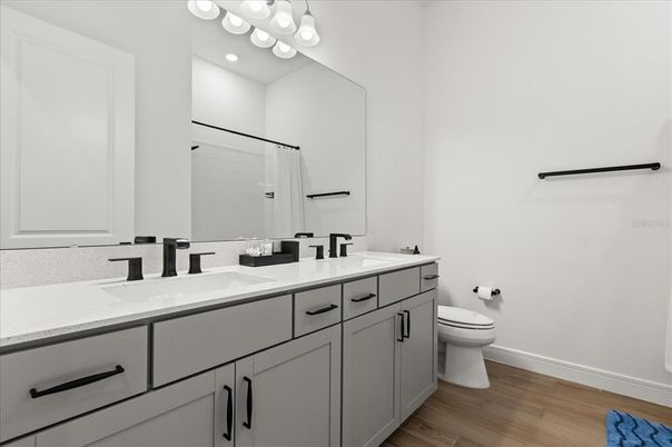 Bathroom, Dual Sink Vanities, Interior, Wood Texture Flooring