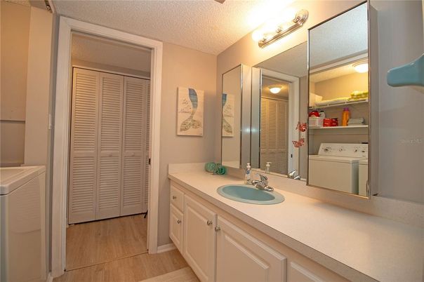 Bathroom, Interior, Washer, Wood Texture Flooring