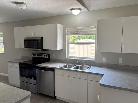 Interior, Kitchen, Stainless Steel Appliances, Wood Texture Flooring