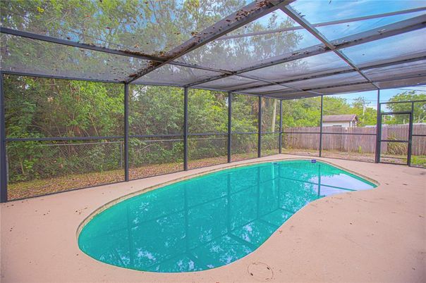Glass Ceilings, Interior, Pool, Sun Room