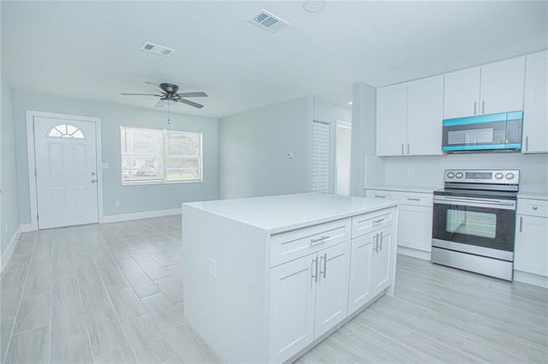 Interior, Kitchen, Stainless Steel Appliances, Wood Texture Flooring