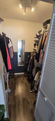 Interior, Walk-in Closets, Wood Texture Flooring
