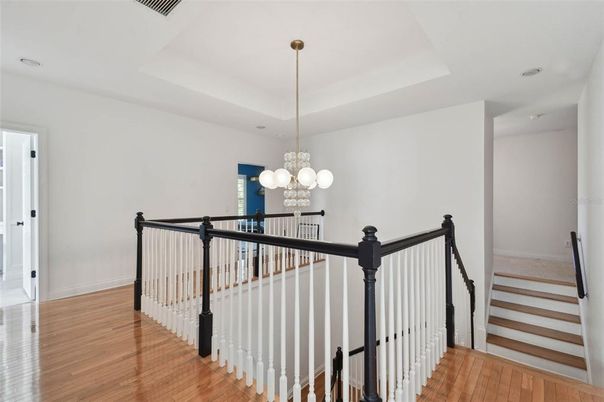 Chandelier, Interior, Wood Texture Flooring