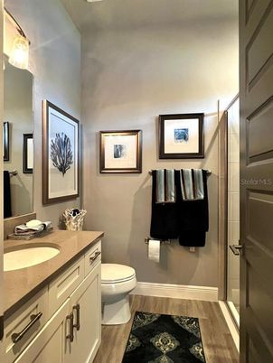 Bathroom, Interior, Wood Texture Flooring