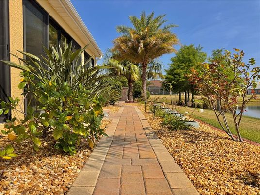 Backyard, Exterior, Water