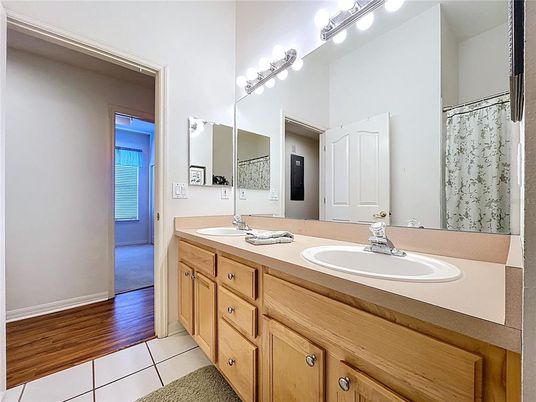 Bathroom, Dual Sink Vanities, Interior, Wood Texture Flooring