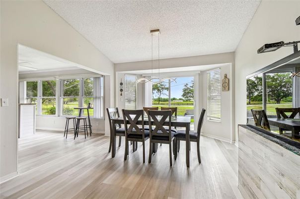 Dining room, Interior, Pendant Lights, Wood Texture Flooring