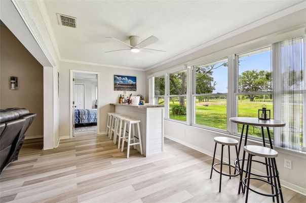 Interior, Sun Room, Wood Texture Flooring