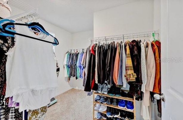 Interior, Walk-in Closets