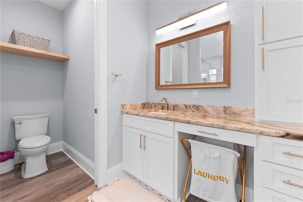 Bathroom, Interior, Wood Texture Flooring