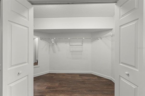 Interior, Walk-in Closets, Wood Texture Flooring