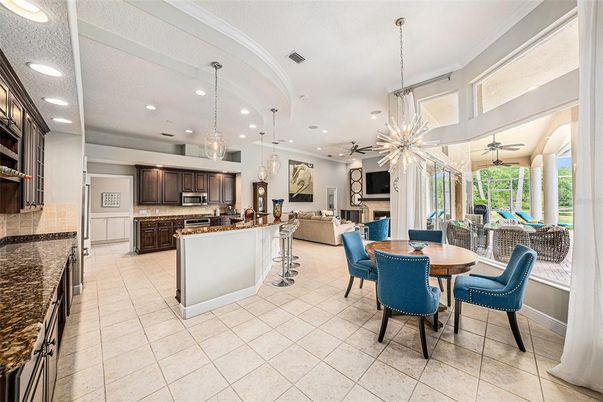 Dining room, Interior, Kitchen, Living room, Pendant Lights, Recessed Lighting, Stainless Steel Appliances