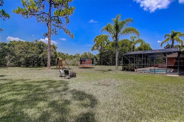 Backyard, Exterior, Playground