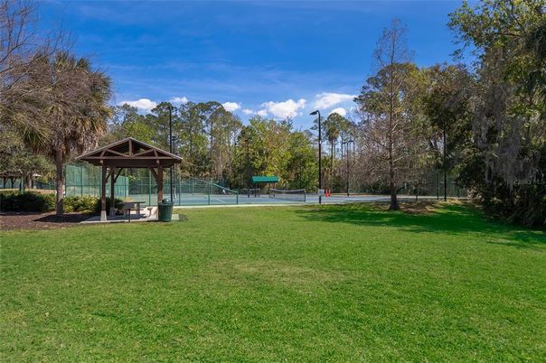 Backyard, Exterior, Playground