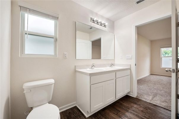 Bathroom, Dual Sink Vanities, Interior, Wood Texture Flooring