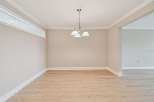 Empty room, Interior, Pendant Lights, Wood Texture Flooring